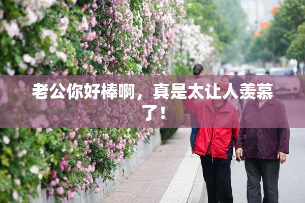 老公你好棒啊，真是太让人羡慕了！
