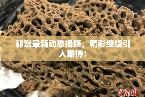 韩漫最新动态揭晓，精彩继续引人期待！