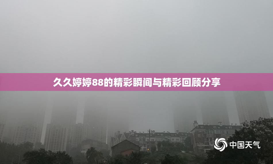 久久婷婷88的精彩瞬间与精彩回顾分享