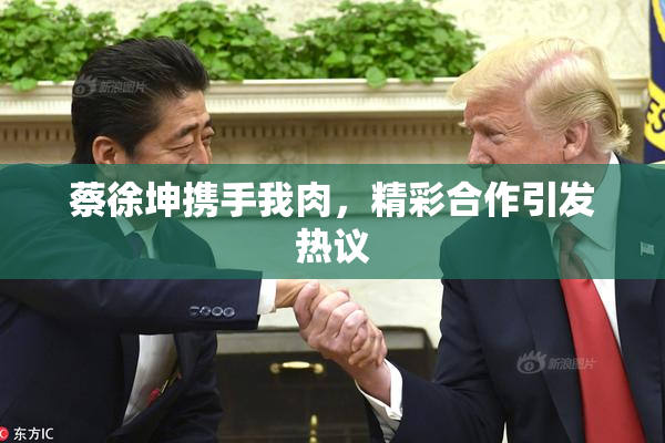 蔡徐坤携手我肉，精彩合作引发热议
