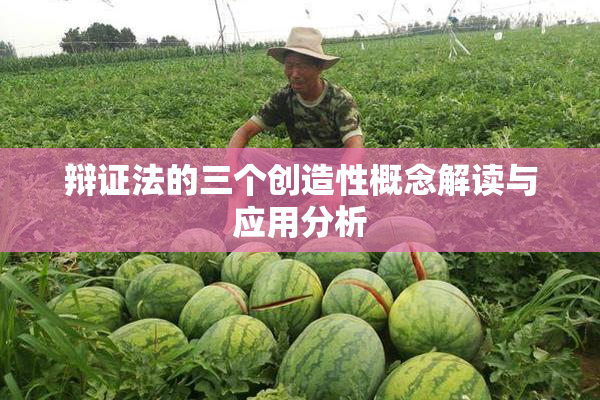 辩证法的三个创造性概念解读与应用分析