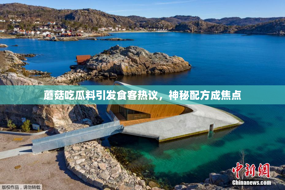 蘑菇吃瓜料引发食客热议，神秘配方成焦点