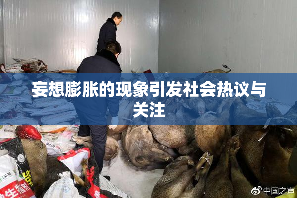 妄想膨胀的现象引发社会热议与关注