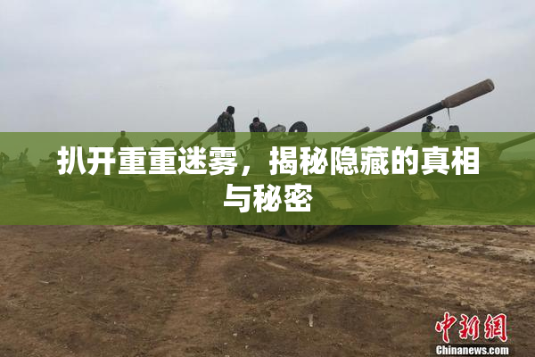 扒开重重迷雾，揭秘隐藏的真相与秘密