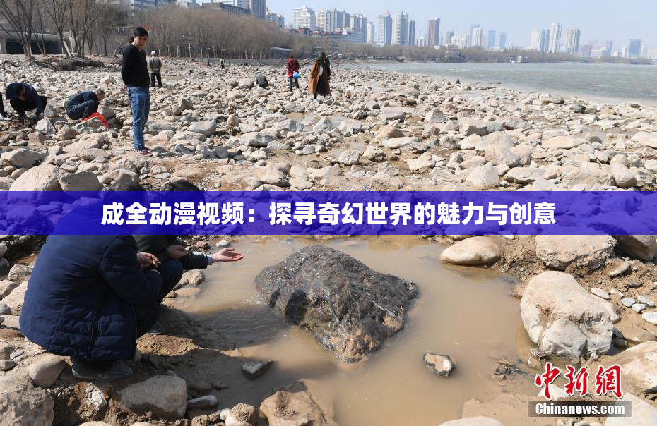 成全动漫视频：探寻奇幻世界的魅力与创意