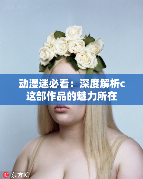 动漫迷必看：深度解析c这部作品的魅力所在