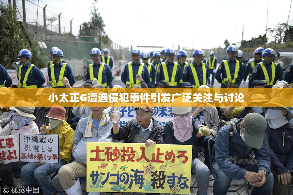 小太正G遭遇侵犯事件引发广泛关注与讨论