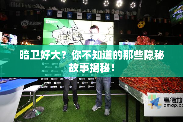 暗卫好大？你不知道的那些隐秘故事揭秘！
