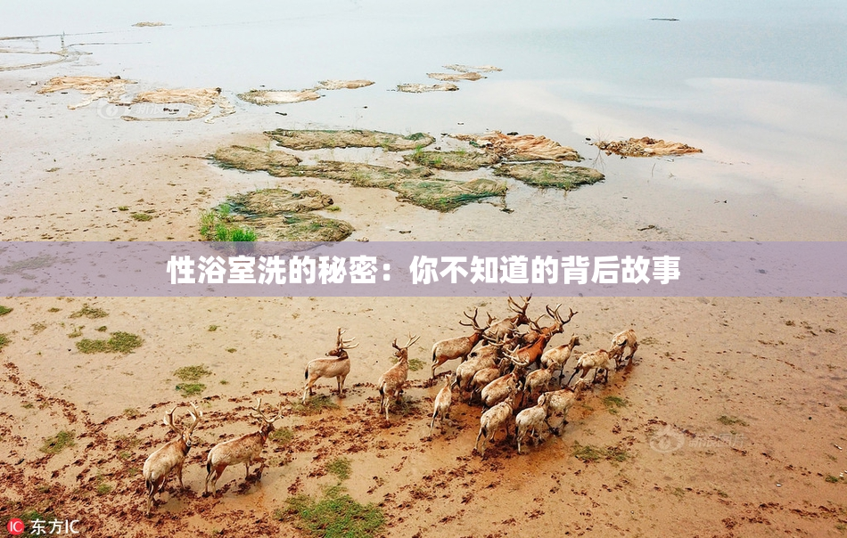 性浴室洗的秘密：你不知道的背后故事