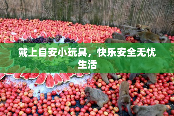 戴上自安小玩具，快乐安全无忧生活