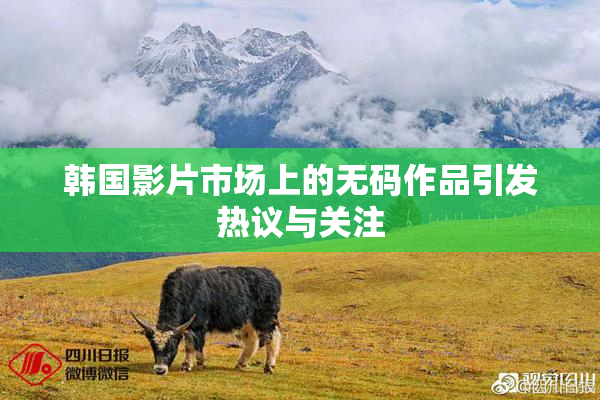 韩国影片市场上的无码作品引发热议与关注