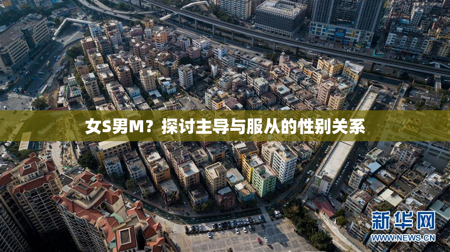 女S男M？探讨主导与服从的性别关系