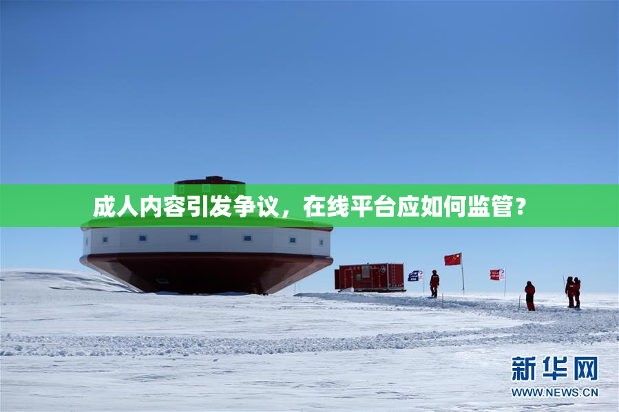 成人内容引发争议，在线平台应如何监管？