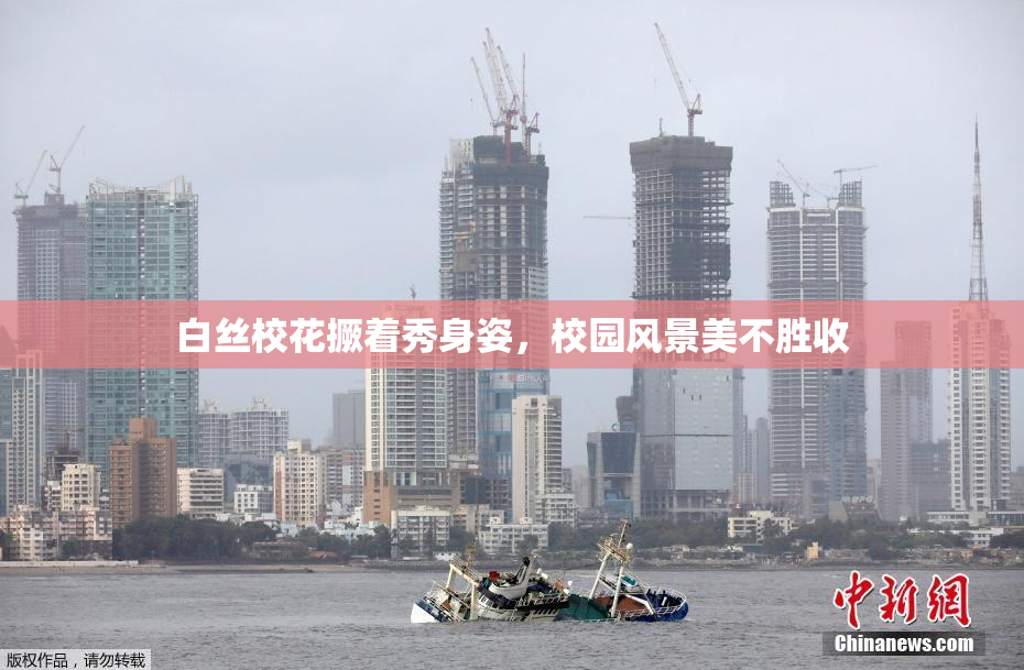 白丝校花撅着秀身姿，校园风景美不胜收
