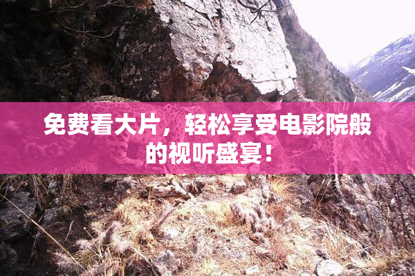免费看大片，轻松享受电影院般的视听盛宴！
