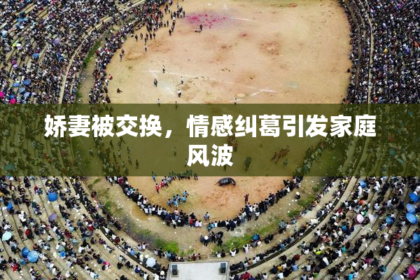 娇妻被交换，情感纠葛引发家庭风波