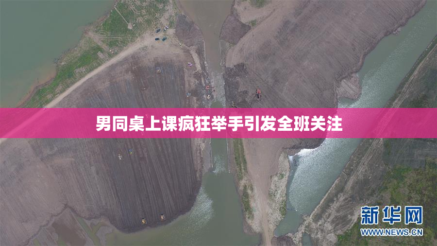 男同桌上课疯狂举手引发全班关注