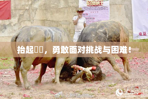 抬起妺妺，勇敢面对挑战与困难！