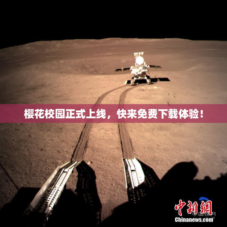 樱花校园正式上线，快来免费下载体验！