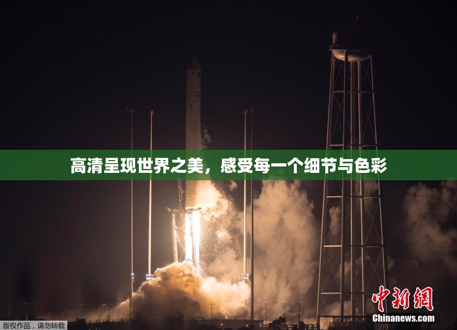 高清呈现世界之美，感受每一个细节与色彩