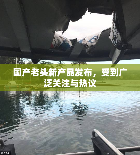 国产老头新产品发布，受到广泛关注与热议
