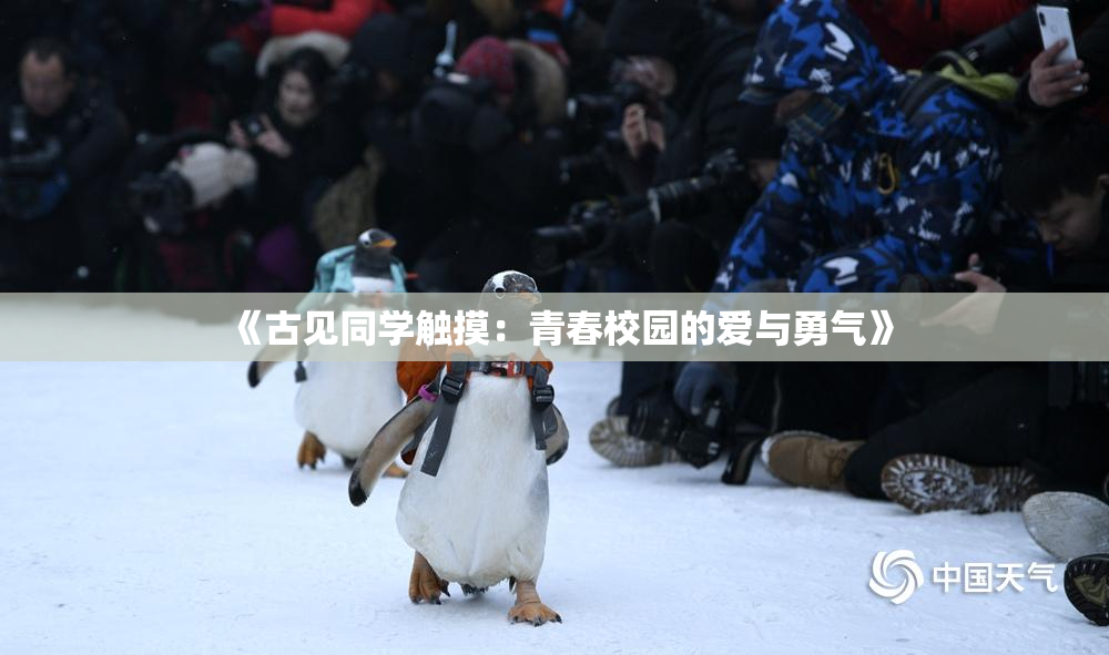 《古见同学触摸：青春校园的爱与勇气》