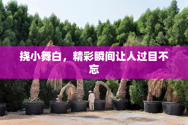 挠小舞白，精彩瞬间让人过目不忘