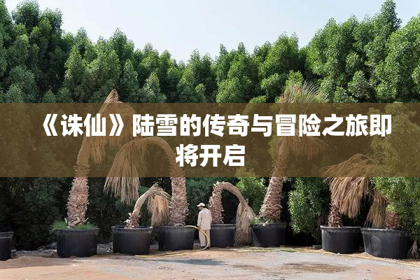 《诛仙》陆雪的传奇与冒险之旅即将开启