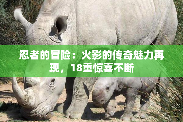 忍者的冒险：火影的传奇魅力再现，18重惊喜不断