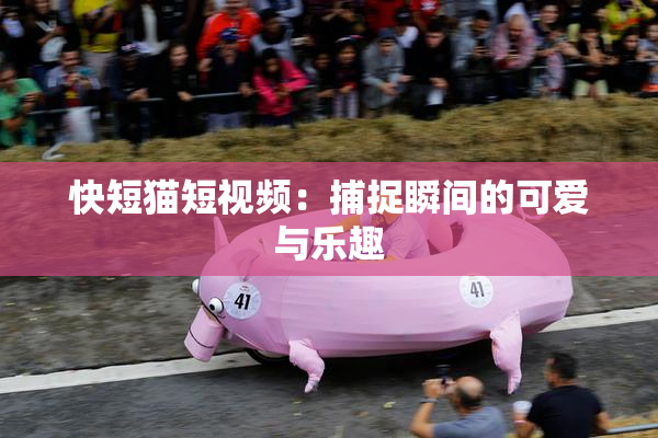 快短猫短视频：捕捉瞬间的可爱与乐趣