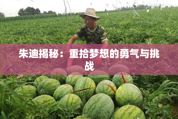朱迪揭秘：重拾梦想的勇气与挑战