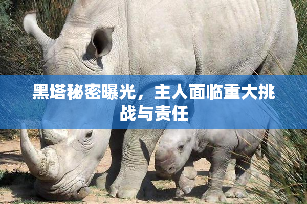 黑塔秘密曝光，主人面临重大挑战与责任
