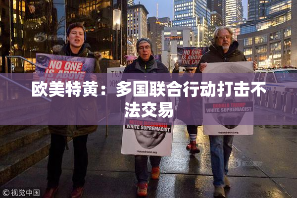 欧美特黄：多国联合行动打击不法交易