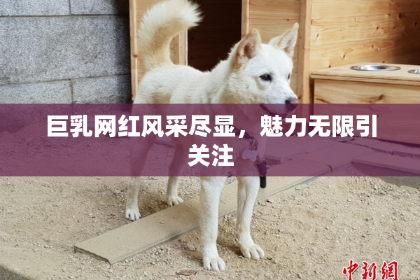 巨乳网红风采尽显，魅力无限引关注