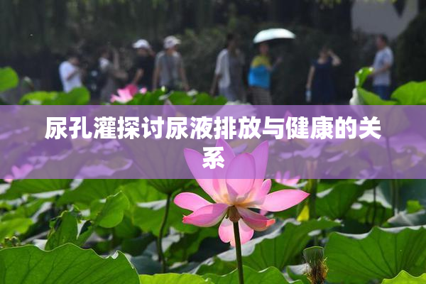 尿孔灌探讨尿液排放与健康的关系