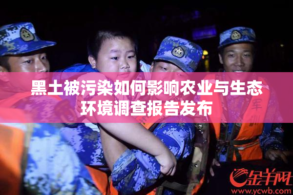 黑土被污染如何影响农业与生态环境调查报告发布