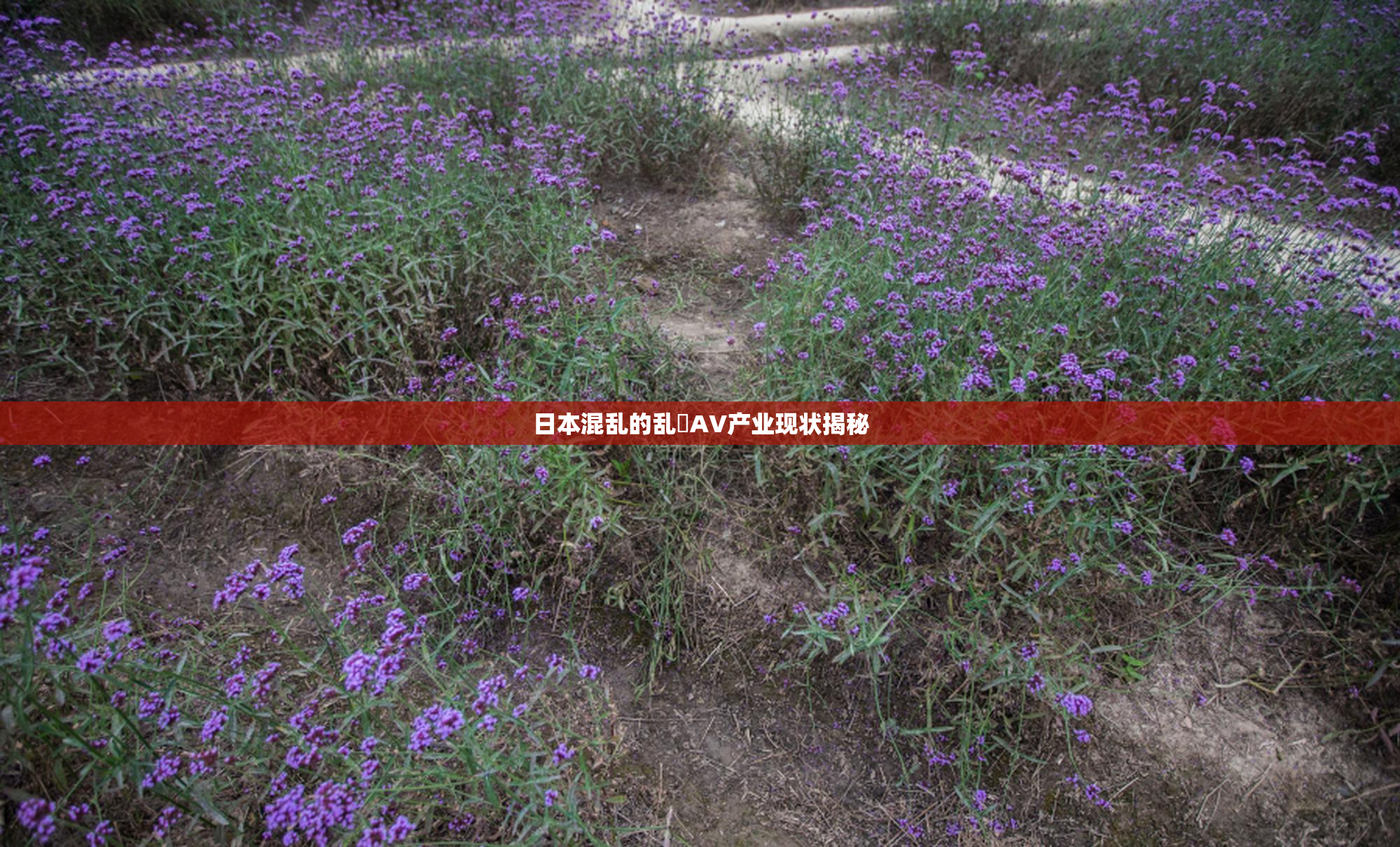 日本混乱的乱婬AV产业现状揭秘