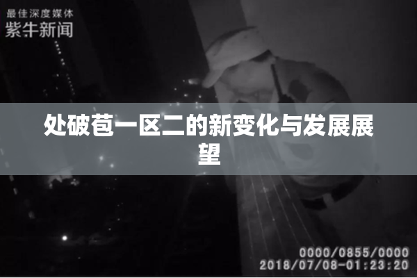 处破苞一区二的新变化与发展展望