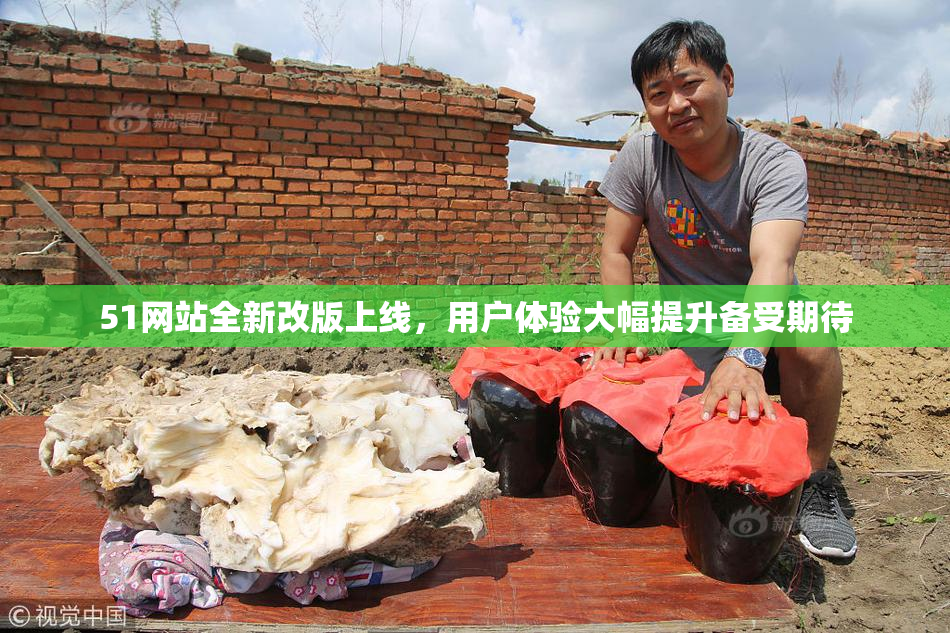 51网站全新改版上线，用户体验大幅提升备受期待