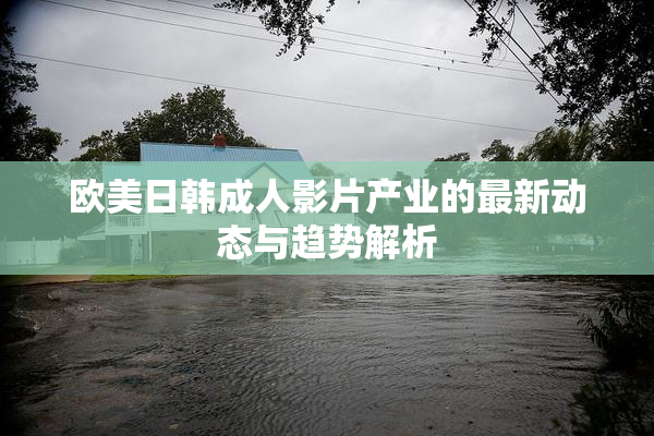 欧美日韩成人影片产业的最新动态与趋势解析