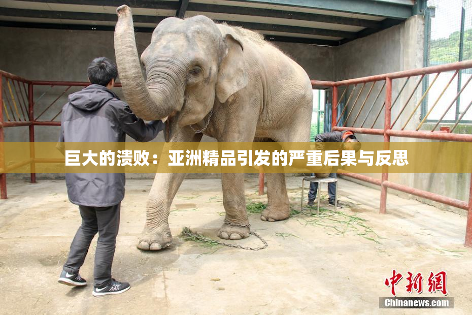 巨大的溃败：亚洲精品引发的严重后果与反思