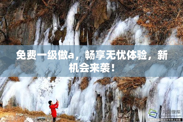 免费一级做a，畅享无忧体验，新机会来袭！