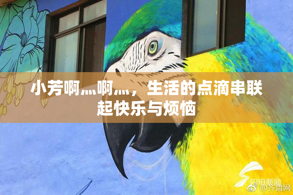 小芳啊灬啊灬，生活的点滴串联起快乐与烦恼