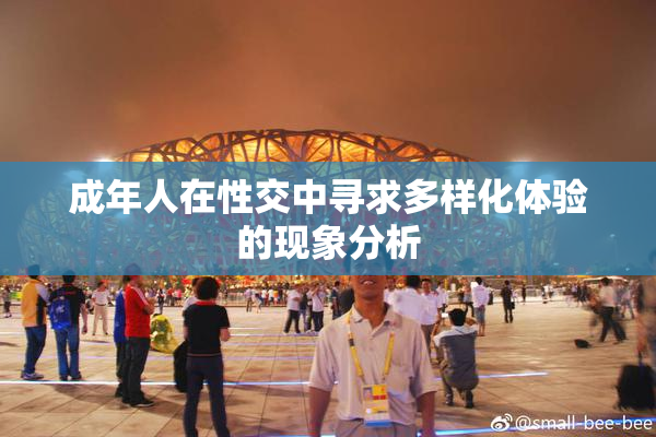 成年人在性交中寻求多样化体验的现象分析