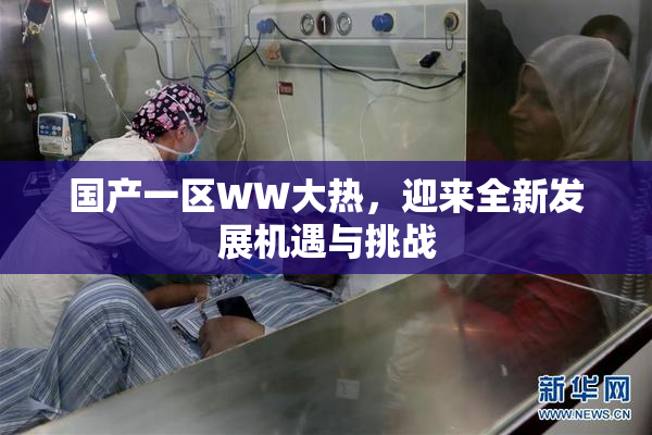 国产一区WW大热，迎来全新发展机遇与挑战