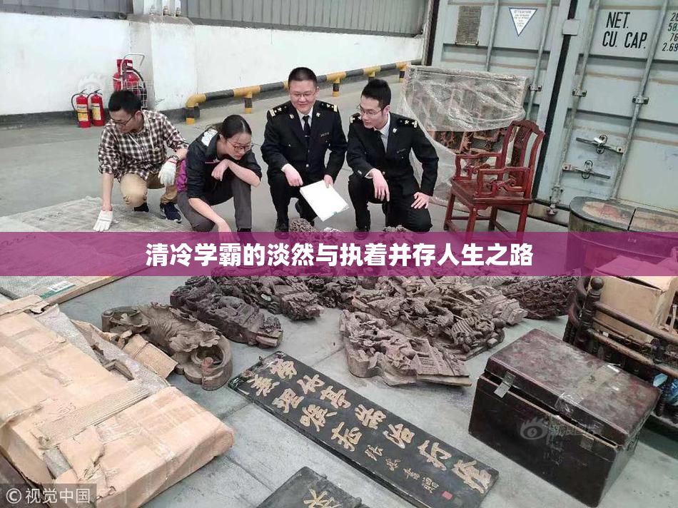 清冷学霸的淡然与执着并存人生之路