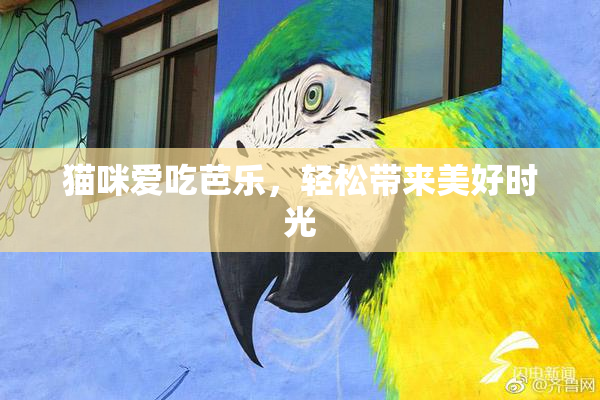 猫咪爱吃芭乐，轻松带来美好时光