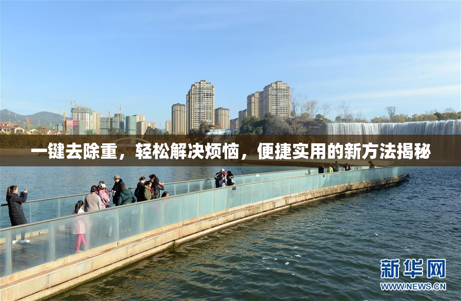 一键去除重，轻松解决烦恼，便捷实用的新方法揭秘
