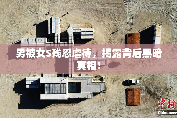 男被女S残忍虐待，揭露背后黑暗真相！
