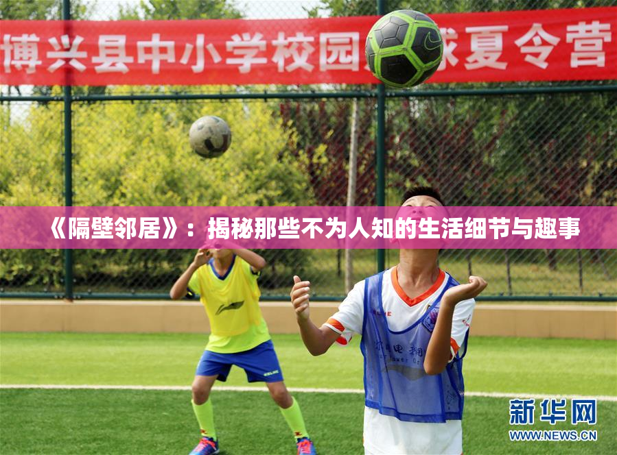 《隔壁邻居》：揭秘那些不为人知的生活细节与趣事